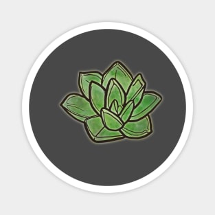 Minimalist succulent Magnet